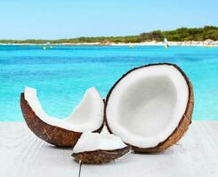 Noce di cocco su paesaggio marino sfondo foto