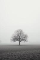 un' solitario albero sta solo nel un' nebbioso campo con copia spazio per testo. ai generato foto