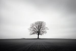 un' solitario albero sta solo nel un' nebbioso campo. ai generato foto