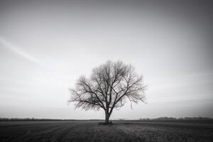 un' solitario albero sta solo nel un' nebbioso campo. ai generato foto