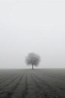 un' solitario albero sta solo nel un' nebbioso campo con copia spazio per testo. ai generato foto