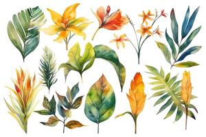 collezione di acquerello selvaggio tropicale le foglie e fiori giungla pianta le foglie isolato su bianca sfondo acquerello botanico illustrazione. ai generato foto