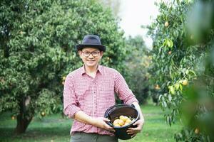asiatico azienda agricola uomo è controllo il suo acida e dolce frutta chiamato marian prugna o tailandese plango o marian Mango, di prugna Mango nel il suo all'aperto frutta giardino foto