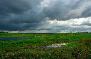 paesaggio di verde erba campo e nuvoloso cielo. buio Cloudscape di un' tempestoso cielo. naturale acqua serbatoio. acqua sostenibilità. d'acqua dolce per umano consumo. sostenibile fonti di acqua. foto