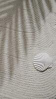palma albero forma ombra su sabbia, spiaggia sfondo foto