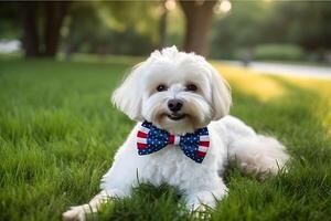 bianca pelliccia carino cucciolo seduta nel giardino con americano bandiera Stati Uniti d'America indipendenza giorno ai generativo foto