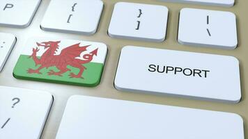 Galles supporto concetto. pulsante spingere 3d illustrazione. supporto di nazione o governo con nazionale bandiera foto