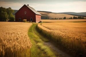 bellissimo paesaggio scena di un' azienda agricola rosso fienile Il prossimo per i campi di Grano. ai generato foto