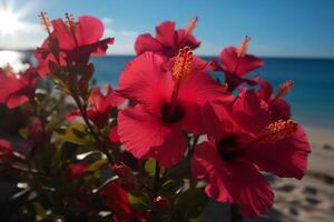 isola Paradiso ibisco fiori scintillante nel il sole. ai generato foto