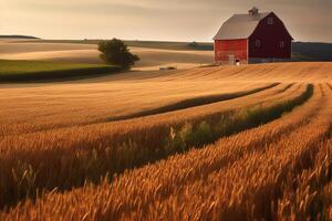 bellissimo paesaggio scena di un' azienda agricola rosso fienile Il prossimo per i campi di Grano. ai generato foto