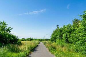 bella strada asfaltata vuota in campagna su sfondo colorato foto