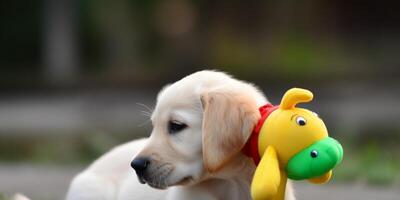 un' cucciolo con un' giocattolo su suo testa ai generato foto