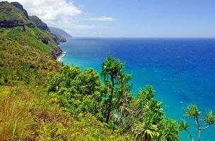 tropicale costa nel Hawaii foto