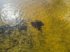 foresta acqua con giallo sabbia e pietre. vermi galleggiante nel il acqua concentrato nel il mezzo di il fiume. il bagliore a partire dal il sole su il acqua e il bellissimo ambra strisce. orizzontale. foto