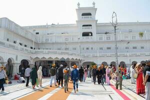 amritsar, India - febbraio 26 2023 - non identificato devoti a partire dal vario parti a d'oro tempio - armandir sahib nel amritsar, punjab, India, famoso indiano sikh punto di riferimento, d'oro tempio foto