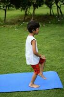 asiatico inteligente ragazzo fare yoga posa nel il società parco all'aperto, figli di yoga posa. il poco ragazzo fare yoga e meditazione esercizio. foto