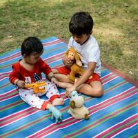 Due contento ragazzi nel società parco, contento asiatico fratelli chi siamo sorridente felicemente insieme. fratelli giocare all'aperto nel estate, migliore gli amici. bambino piccolo bambino ragazzo giocando con il suo contento fratello nel il giardino foto