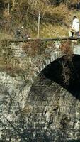 uno vecchio tradizionale Cinese villaggio Visualizza con il vecchio arcuato pietra ponte e vecchio di legno edifici nel il meridionale campagna di il Cina foto