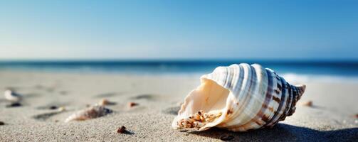 mare conchiglia su tropicale mare e sabbioso spiaggia blu cielo sfondo. generativo ai foto