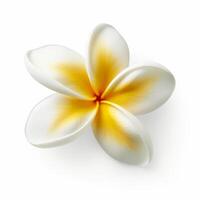 plumeria fiore isolato. illustrazione ai generativo foto