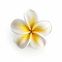 plumeria fiore isolato. illustrazione ai generativo foto