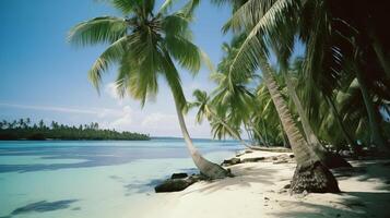 tropicale spiaggia sfondo. illustrazione ai generativo foto