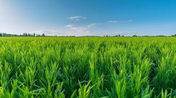 succoso verde campo. illustrazione ai generativo foto