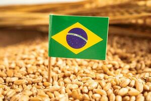 chicchi di grano con bandiera brasiliana, esportazione commerciale e concetto di economia. foto