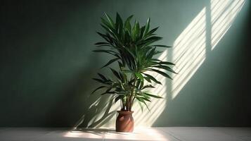 vuoto moderno sfondo con verde dracaena albero nel luce del sole, foglia ombra su parete. ai generativo foto