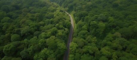 aereo Visualizza di tropicale foresta con asfalto strada taglio attraverso foresta, natura sfondo. ai generativo foto