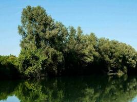 di il Riva del fiume foto