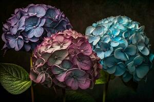viola, blu e rosa teste di ortensia fiori ai generato foto