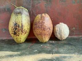 tropicale frutta Aperto e intatto Noce di cocco isolato foto