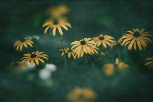 delicato interessante giallo fiori su un' verde sfondo tra il le foglie nel il giardino foto