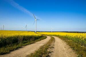 paesaggio con un' campo di giallo stupro con un' blu senza nuvole cielo e ecologico vento aziende agricole foto