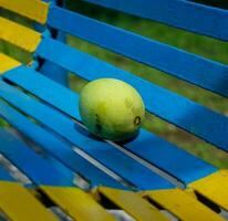 avvicinamento tiro di un' Mango frutta contro un' blu metallo sfondo foto