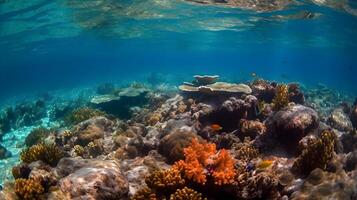 Visualizza di corallo barriere su il parte inferiore di il chiaro mare, generativo ai foto