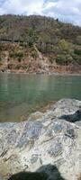 natura sfondo rishikesh foto