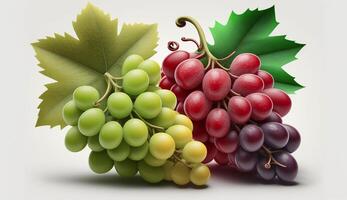 rosso e verde uva frutta su bianca sfondo. ai generato foto