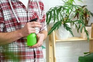 uomo spray a partire dal un' spray pistola casa impianti a partire dal sua collezione, cresciuto con amore su scaffali nel il interno di il Casa. casa pianta in crescita, verde Casa, acqua equilibrio, umidificazione foto