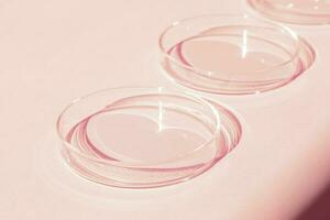 petri piatto. un' impostato di petri tazze. un' pipetta, bicchiere tubo. su un' rosa sfondo. foto
