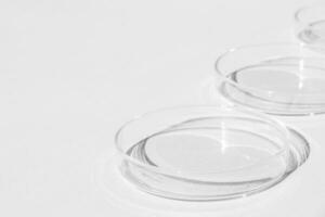 petri piatto. un' impostato di petri tazze. un' pipetta, bicchiere tubo. su un' bianca sfondo. foto
