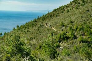 ragazzi su montagna Bici su il colline di varigotti durante un' estate giorno foto