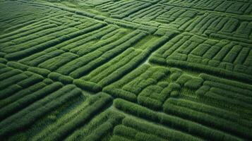 generativo ai, campo di verde erba con acqua cosparso, aereo Visualizza fuco fotografia. palude paesaggio. foto