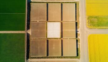 generativo ai, azienda agricola paesaggio, agricolo Grano campi, bellissimo campagna, nazione strada. natura illustrazione, fotorealistico superiore Visualizza drone, orizzontale striscione. foto