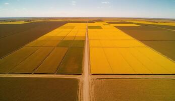 generativo ai, azienda agricola paesaggio, agricolo Grano campi, bellissimo campagna, nazione strada. natura illustrazione, fotorealistico superiore Visualizza drone, orizzontale striscione. foto