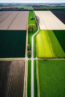 generativo ai, azienda agricola paesaggio, agricolo campi, bellissimo campagna, nazione strada. natura illustrazione, fotorealistico superiore Visualizza drone, verticale formato foto