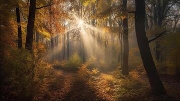 disorientante scena di un raccogliere tempo timberland con i raggi del sole entrata attraverso il rami. ai generato foto