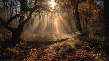 disorientante scena di un raccogliere tempo timberland con i raggi del sole entrata attraverso il rami. ai generato foto