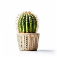 cactus isolato. illustrazione ai generativo foto